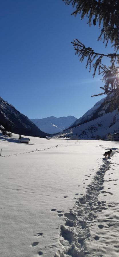 Hotel St-Leonhard St. Leonhard im Pitztal Zewnętrze zdjęcie